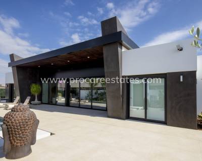 Villa - Nieuwbouw - Rojales - NB-65237