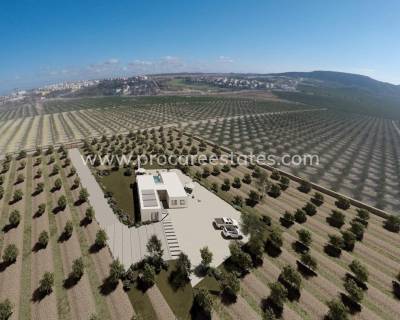 Villa - Nouvelle construction - Algorfa - Algorfa