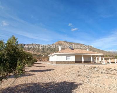 Villa - Nouvelle construction - Macisvenda - HV-78589