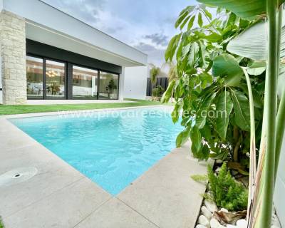 Villa - Nouvelle construction - Molina De Segura - NBS-17907