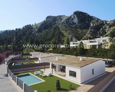 Villa - Nouvelle construction - Penaguila - El Olivar