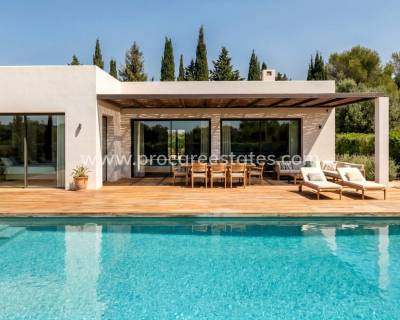 Villa - Nouvelle construction - Pinoso - Casas Pastor