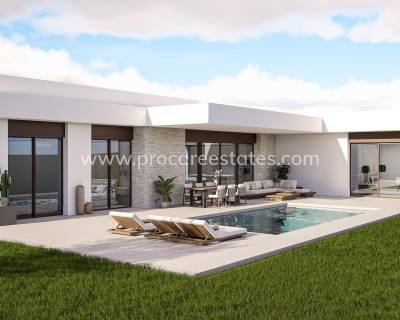 Villa - Nouvelle construction - Pinoso - Lel