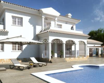 Villa - Nouvelle construction - Pinoso - NB-11810