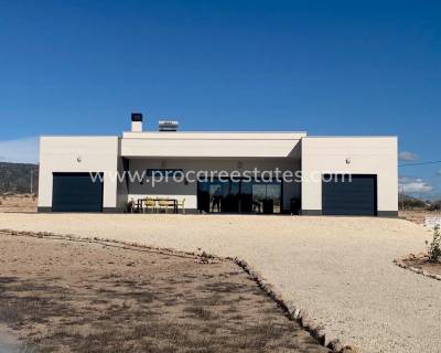Villa - Nouvelle construction - Pinoso - NB-12889