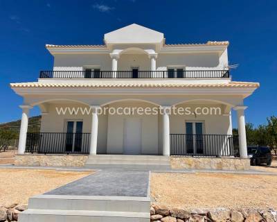 Villa - Nouvelle construction - Pinoso - NB-57463