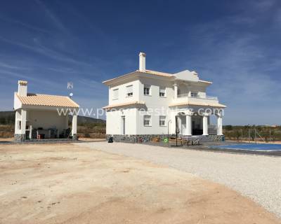 Villa - Nouvelle construction - Pinoso - Pinoso