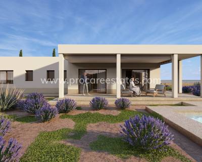 Villa - Nouvelle construction - Pinoso - Pinoso