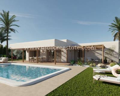 Villa - Nouvelle construction - Pinoso - Rodriguillo