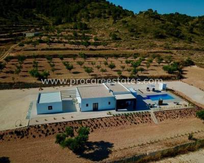 Villa - Nueva construcción  - Abanilla - Cañada de la Leña