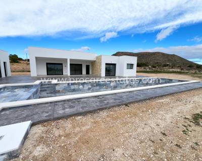 Villa - Nueva construcción  - Aspe - Aspe