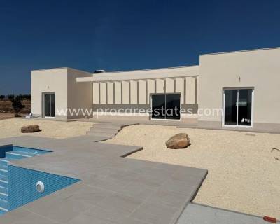 Villa - Nueva construcción  - Pinoso - Camino Del Prado