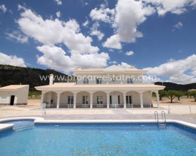 Villa - Nueva construcción  - Pinoso - HV-74670