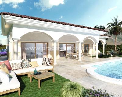 Villa - Nueva construcción  - Pinoso - NB-90774