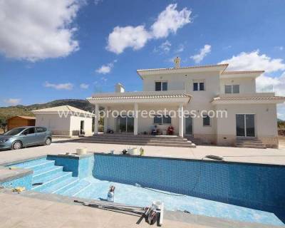 Villa - Nueva construcción  - Pinoso - NB-94555