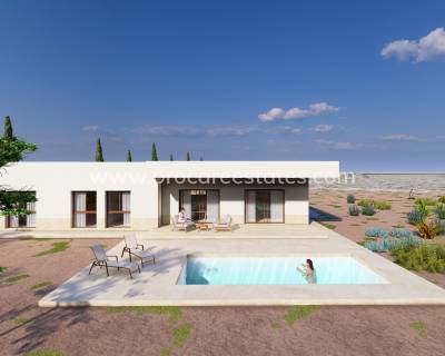 Villa - Nueva construcción  - Pinoso - Pinoso