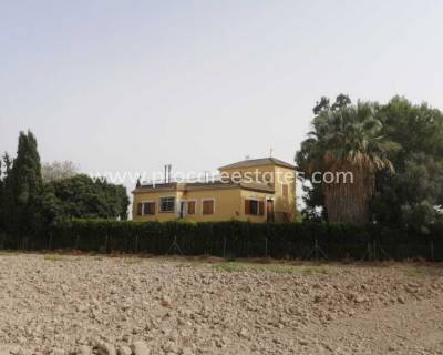 Villa - Resale - Daya Nueva - Daya Nueva