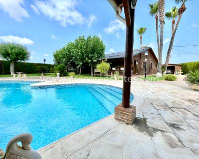 Villa - Resale - San Fulgencio - SU-90119