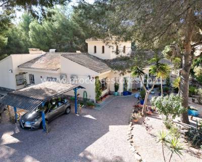 Villa - Reventa - Algorfa - PCE-1410