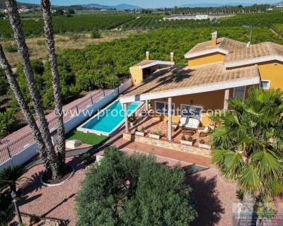Villa - Reventa - Orihuela - Desamparados-Hurchillo-Torremendo