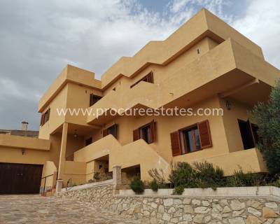 Villa - Verkauf - Crevillente - PCE-3015