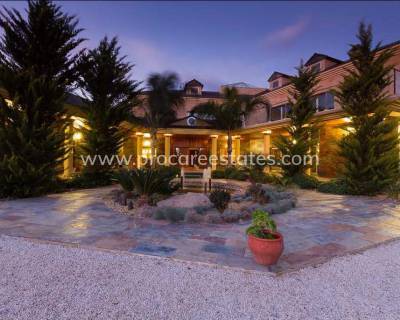 Villa - Verkauf - Daya Vieja - PCE-3031