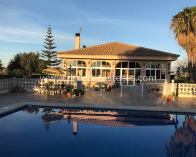 Villa - Verkauf - Dolores - OR-89055