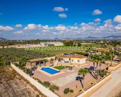Villa - Verkoop - Catral - Catral