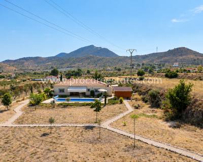Villa - Verkoop - Hondon De Los Frailes - Hondon De Los Frailes