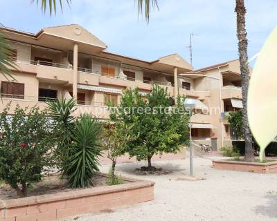 Wohnung - Verkauf - Guardamar del Segura - PCE-1239