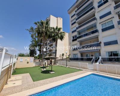 Wohnung - Verkauf - Guardamar del Segura - Puerto