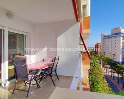 Wohnung - Verkauf - Torrevieja - Acequion