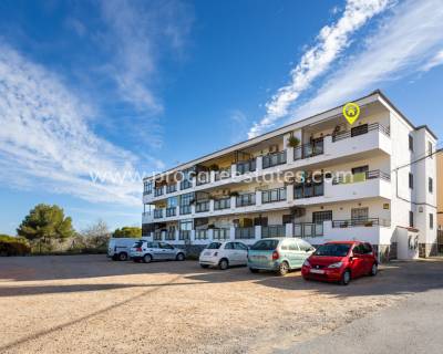 Wohnung - Verkauf - Torrevieja - La Siesta - San Luis