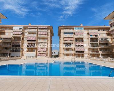 Wohnung - Verkauf - Torrevieja - Los Europeos