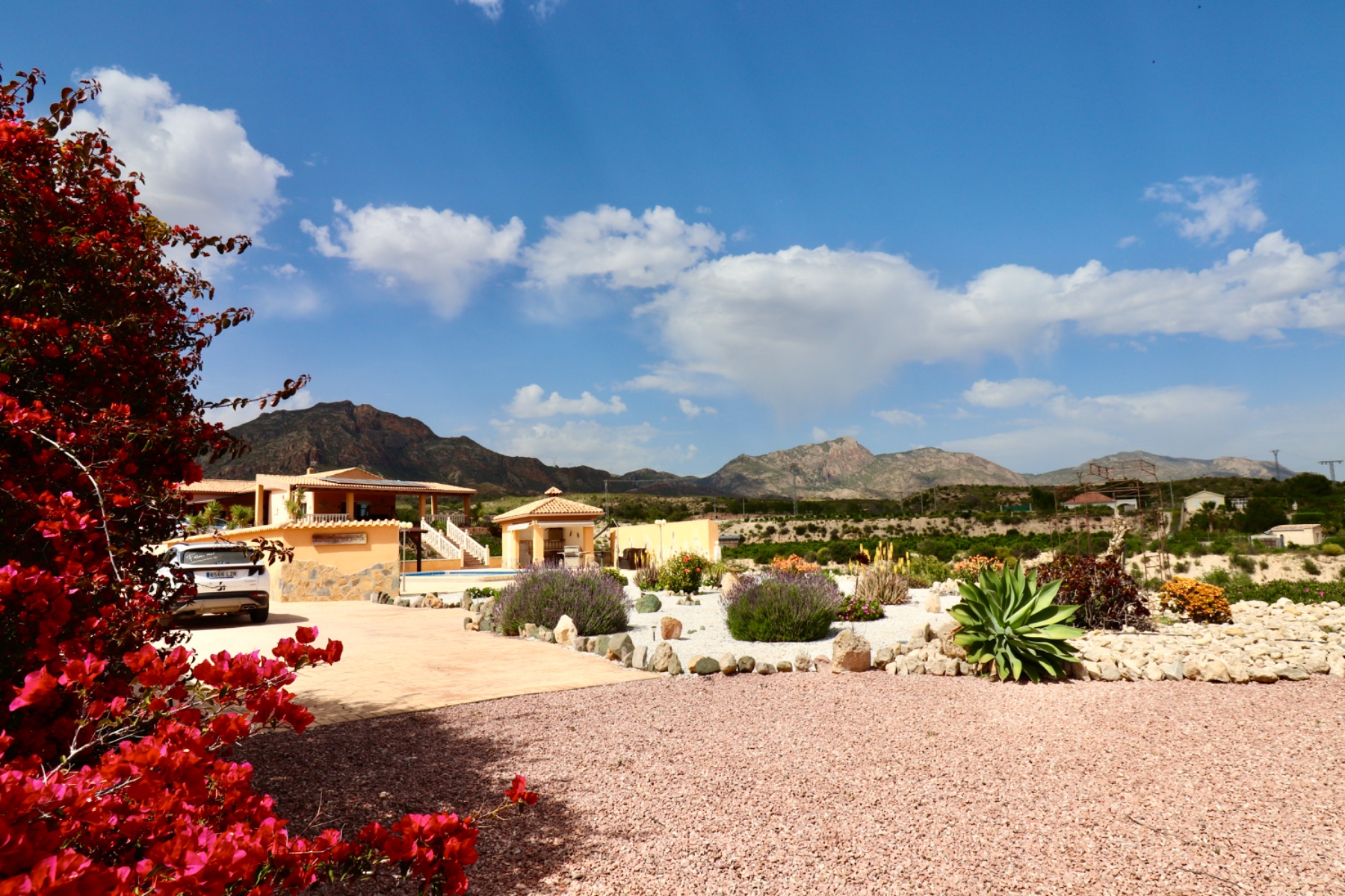 House in Albatera - view 1