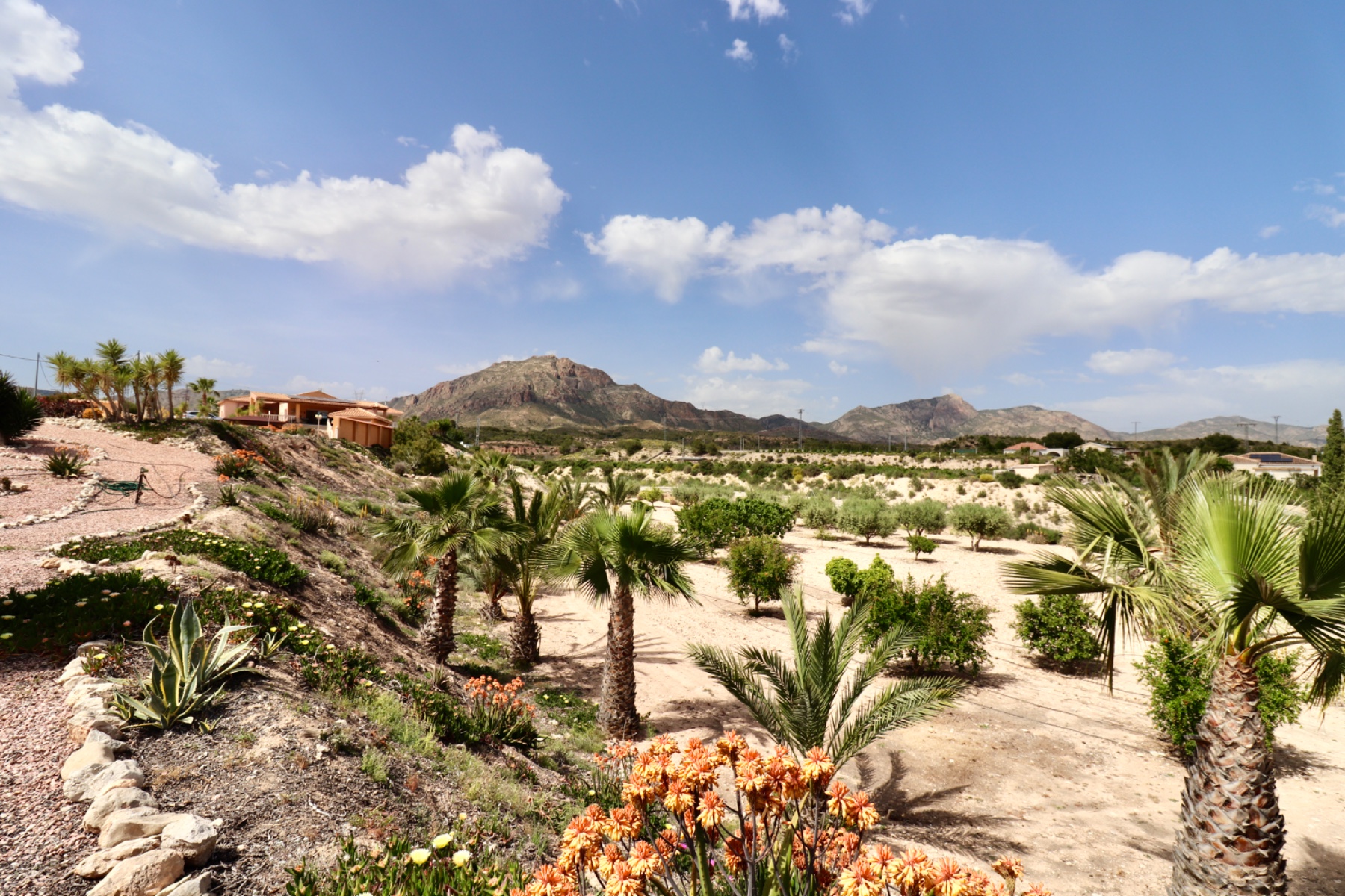 PCE-1455: Country Property for sale in Albatera