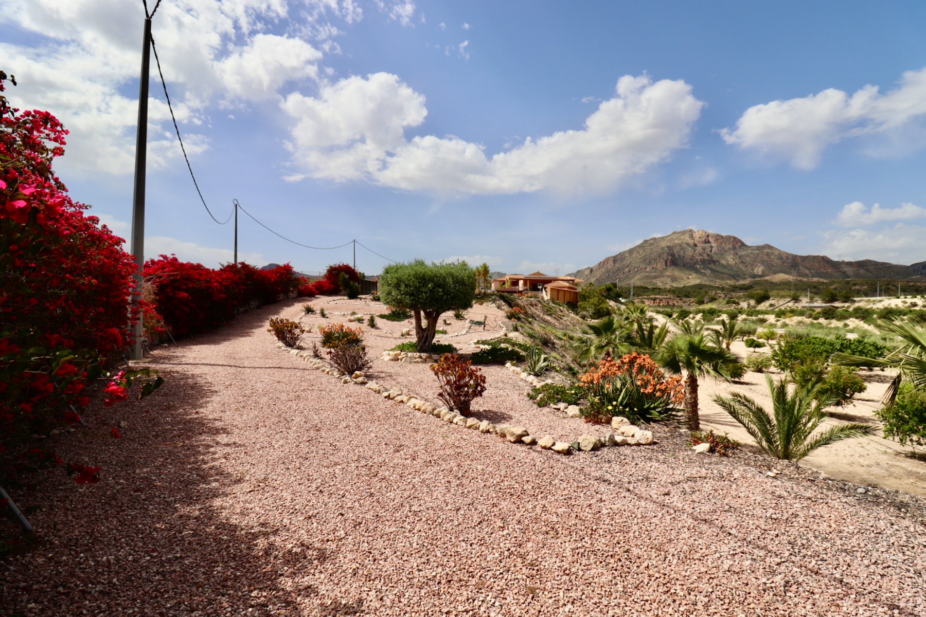 PCE-1455: Country Property for sale in Albatera