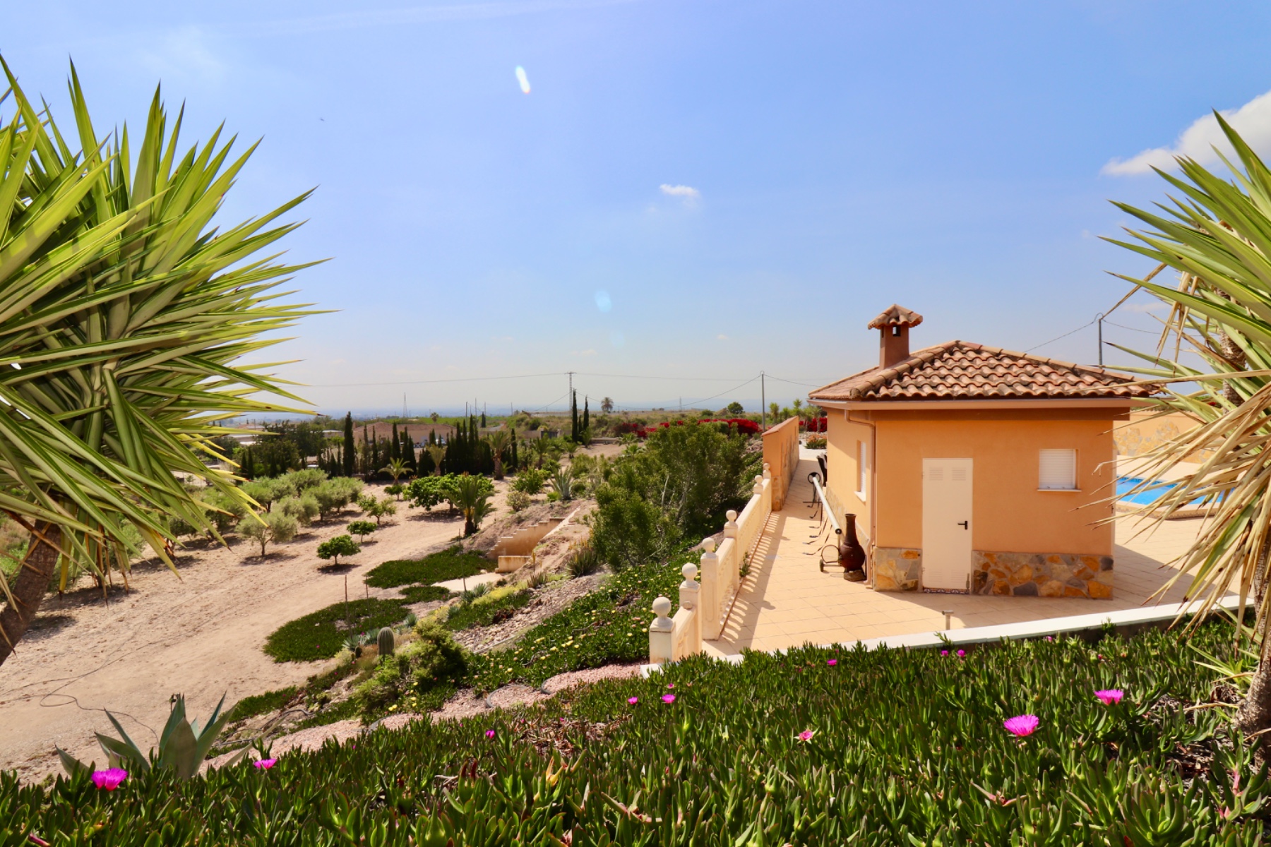 PCE-1455: Country Property for sale in Albatera